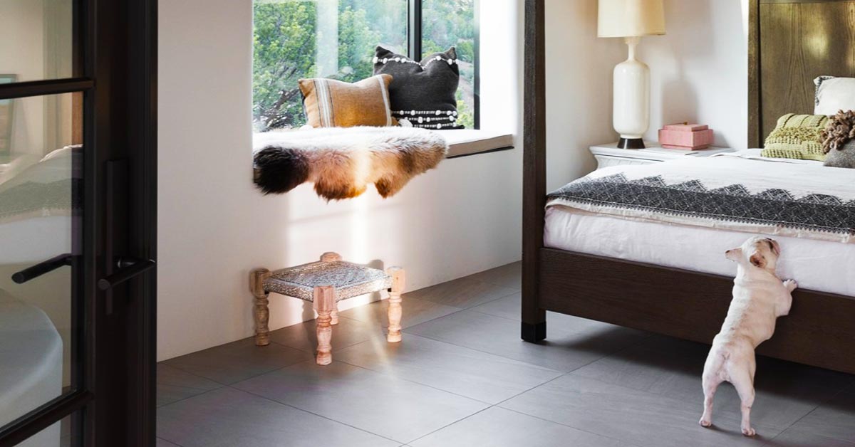 Home Design for Pet Owners